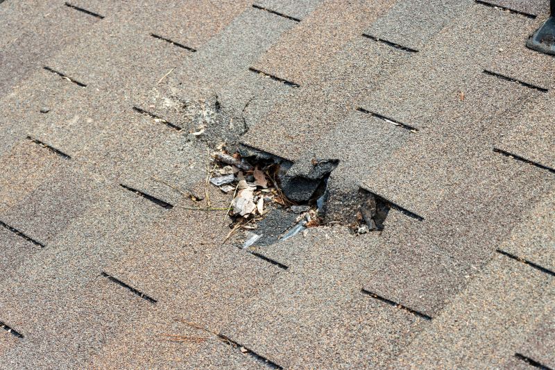 Roof Shingles Replacement in North Conway, NH